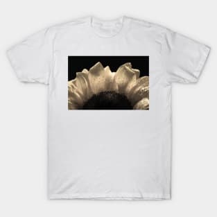 Sunflower Petals 2 T-Shirt